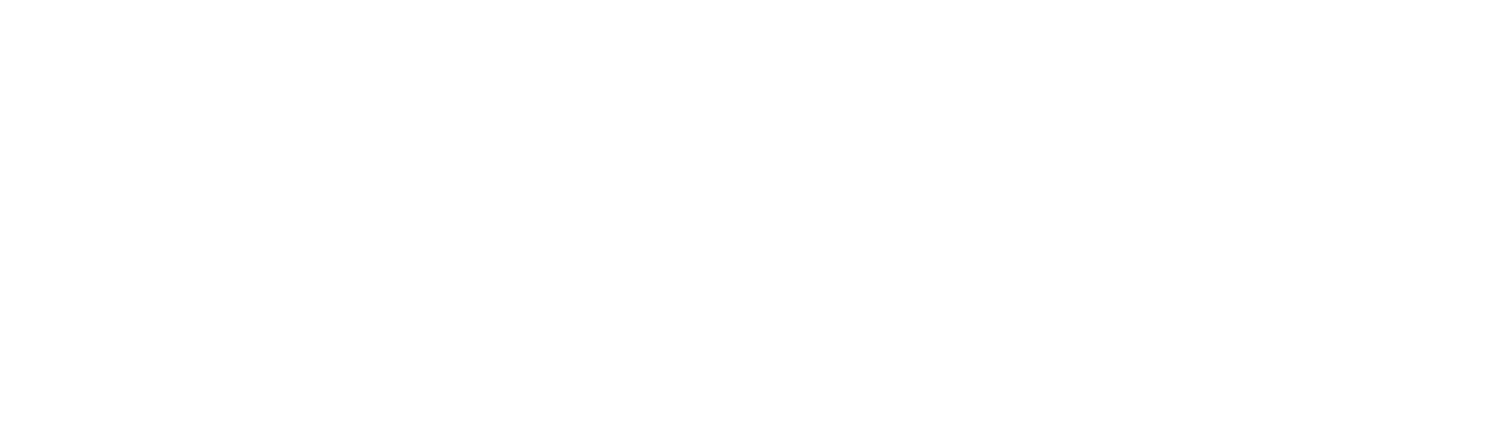 New Providence Logo- Corp site