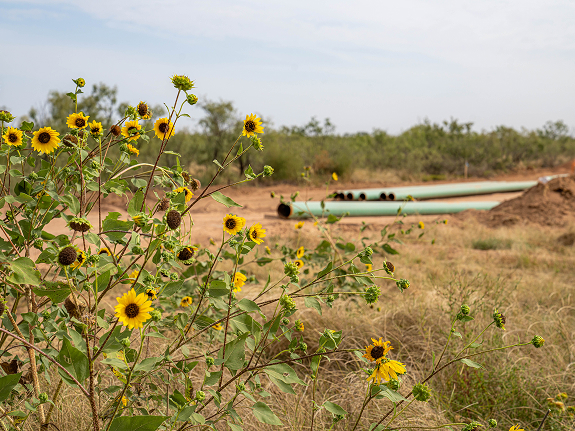 Delek Logistics Partners, LP History