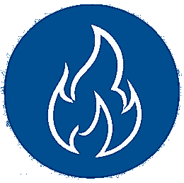 Passion for Excellence icon