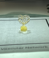 Auxilium will provide orbital 3D bioprinting and biofabrication capabilities aboard the Starlab space station to enhance research and development in regenerative medicine, implantable medical devices and tissue engineering. In November 2024, Auxilium successfully created tiny, functional blood vessels aboard the International Space Station using its AMP-1 platform. These vessels, which have wall thicknesses about the width of a human hair, were produced in under an hour—something not possible on Earth, where the process requires more time, materials, and complex steps. The achievement opens the door to on-demand tissue production to support astronaut health on long missions to the Moon and Mars, while also advancing solutions for patients on Earth. Photo credit: Auxilium