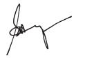 Shantanu Narayen signature