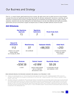Our Business and Strategy