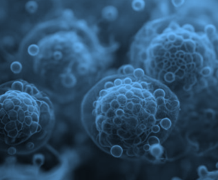 Inflammation & Immunology Icon