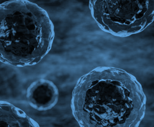 Internal Medicine Icon