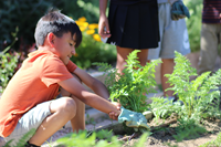 Since 2015, the Sprouts Healthy Communities Foundation has awarded over $35 million in grants to organizations that help children and adults build healthy eating habits. Photo credit: Boys & Girls Clubs of Kern County.